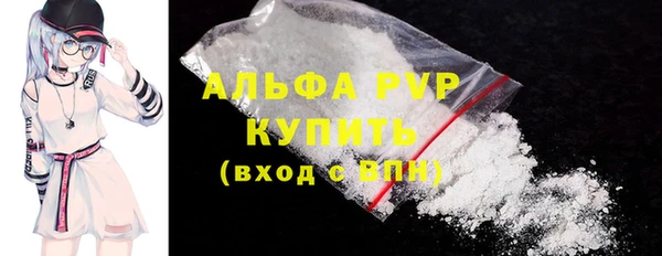 ешки Корсаков
