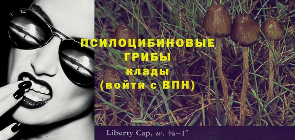 ешки Корсаков