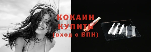 стафф Коряжма