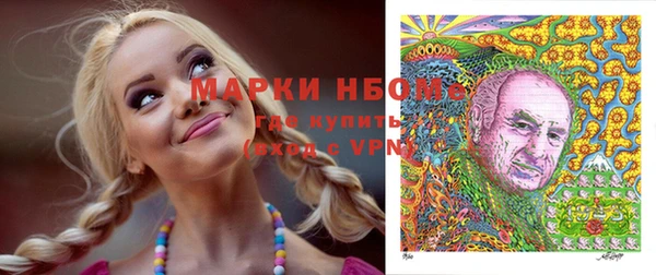 ешки Корсаков