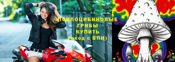 тгк Костерёво