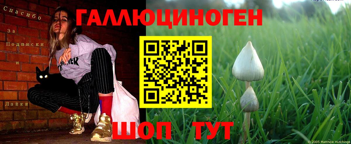 Красноперекопск  Галлюциногенные грибы GOLDEN TEACHER  продажа наркотиков  Вход с VPN 