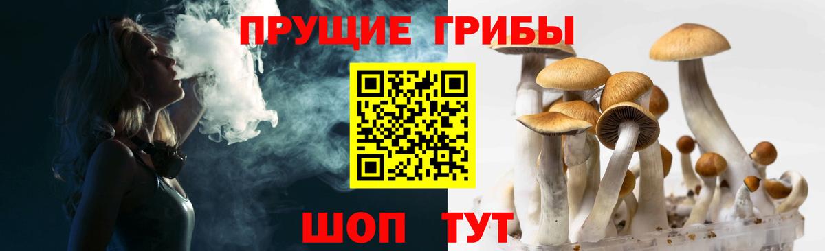 Галлюциногенные грибы прущие грибы Красноперекопск